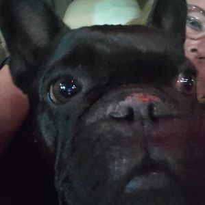 Meet your Posher, Beverly